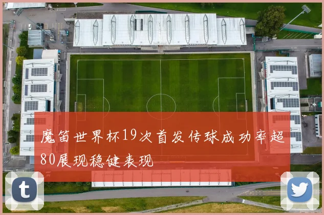 魔笛世界杯19次首发传球成功率超80展现稳健表现
