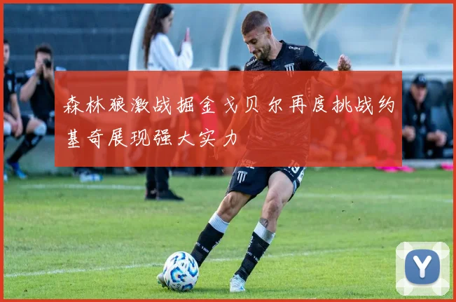 森林狼激战掘金戈贝尔再度挑战约基奇展现强大实力