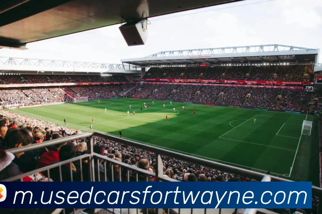 威九国际官网APP 封面图